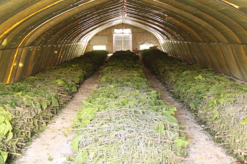 152271895596243255.jpg u=3962422190,796693957&fm=27&gp=0.jpg