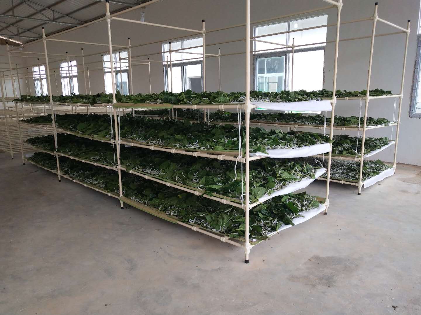 快装式蚕台.jpg 快装式蚕台.jpg