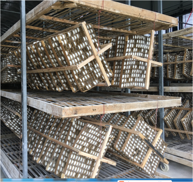 154233262958945474.png 图片4.png