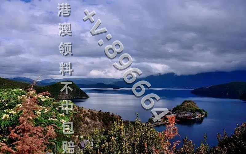 2023澳彩开奖的最新结果,豪华精英版79.26.45-江GO121，127.13