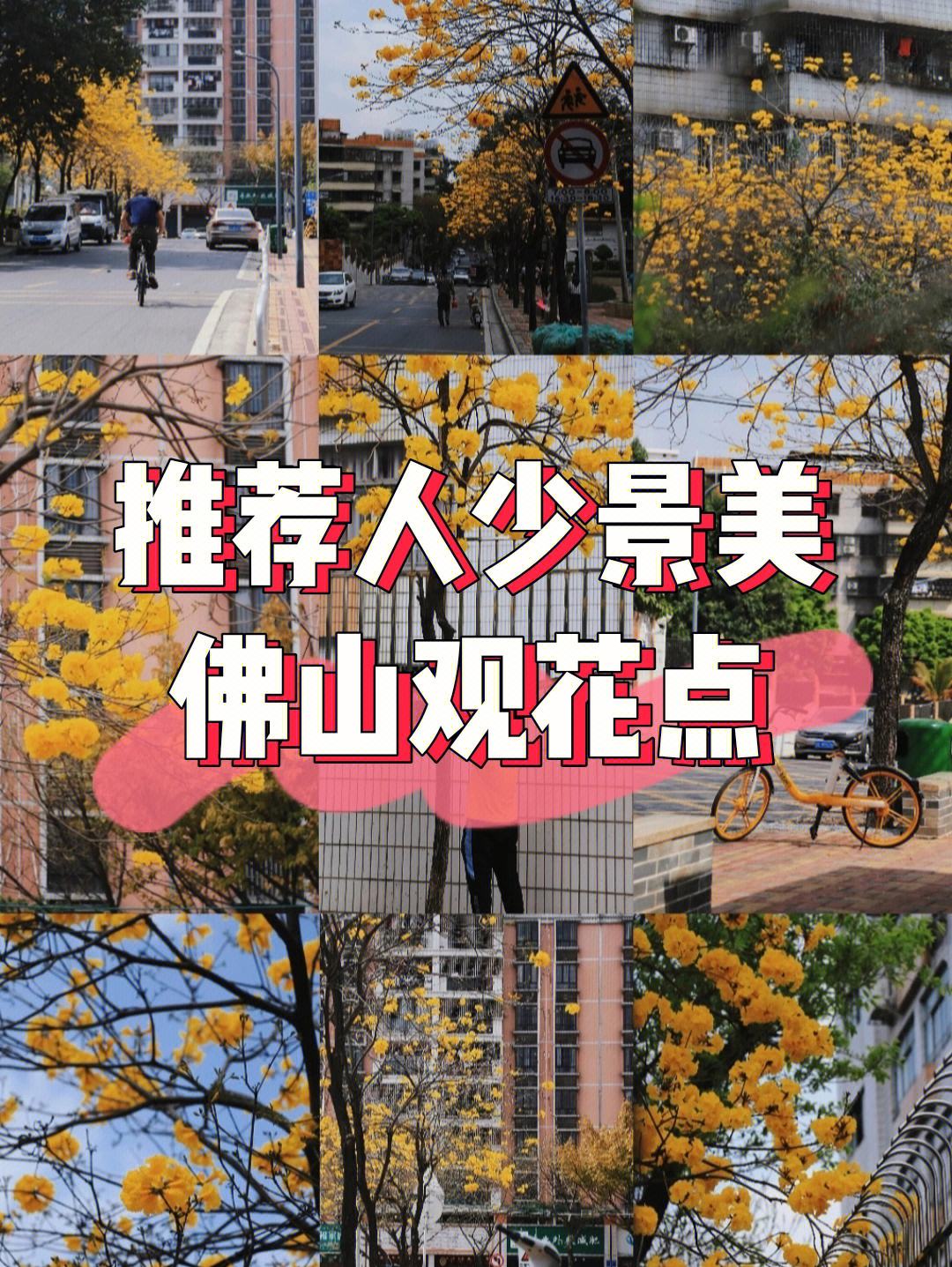 8090网址导航,最新热门解析实施_精英版121，127.13