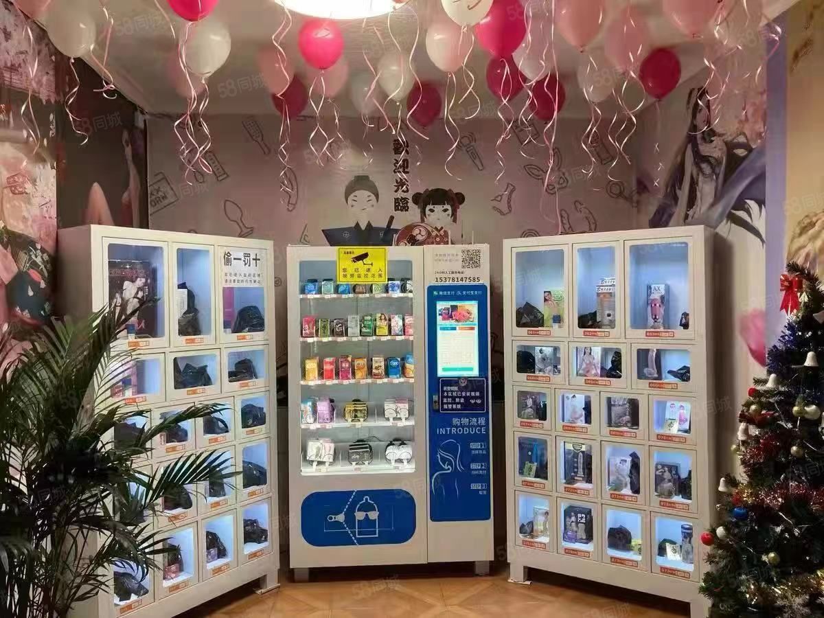 成人用品无人售货连锁店,数据解释落实_整合版121，127.13