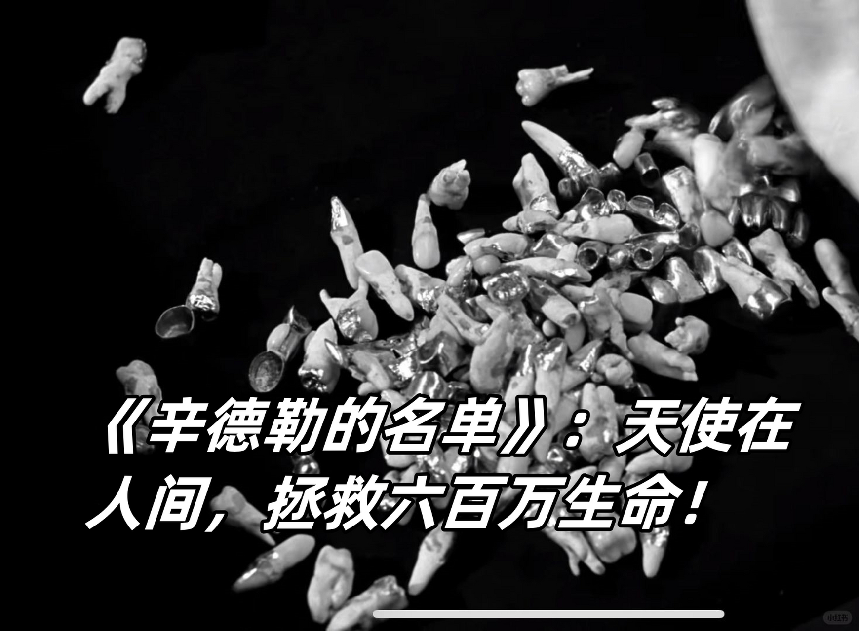 辛德勒的名单,资深解答解释落实_特别款72.21127.13.