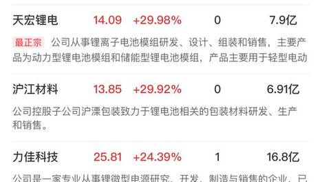 2024新奥精准资料免费大全,豪华精英版79.26.45-江GO121，127.13