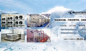 澳门美人鱼三肖三码精准100%,数据解释落实_整合版121，127.13
