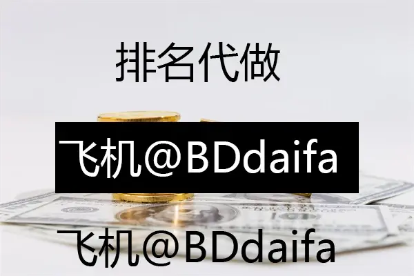 泛目录2024新版程序,最新热门解析实施_精英版121，127.13