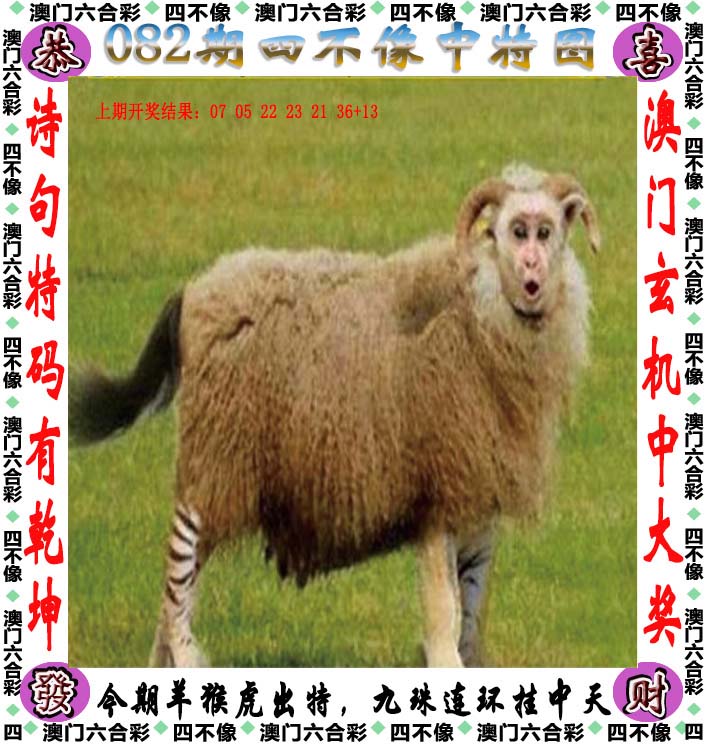 香港正版最准资料,资深解答解释落实_特别款72.21127.13.