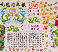 九龙香港论坛开奖结果,效能解答解释落实_游戏版121，127.12