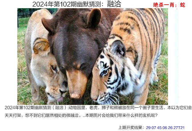 老澳开奖结果查询网站官网,最新答案动态解析_vip2121，127.13