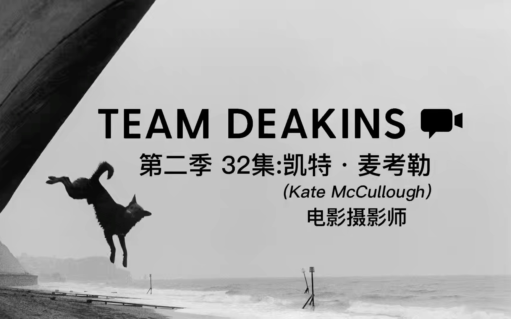 凯特·麦考的审判,最新热门解析实施_精英版121，127.13