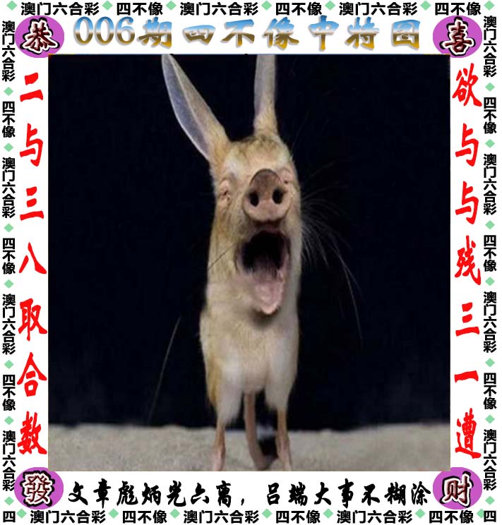 澳门四肖八码精选期期准,资深解答解释落实_特别款72.21127.13.