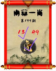九龙网精选资料一肖一码,数据解释落实_整合版121，127.13