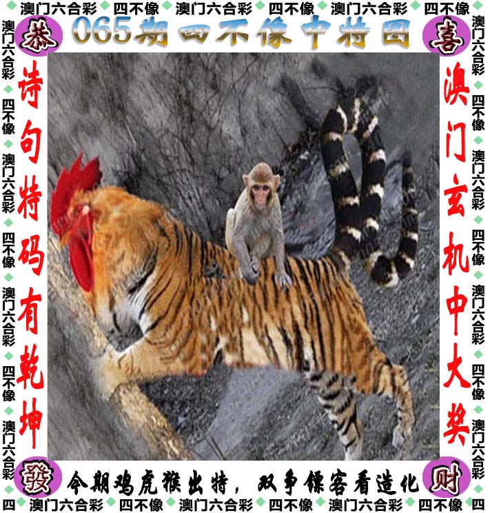 六码中特在线听,最新答案动态解析_vip2121，127.13