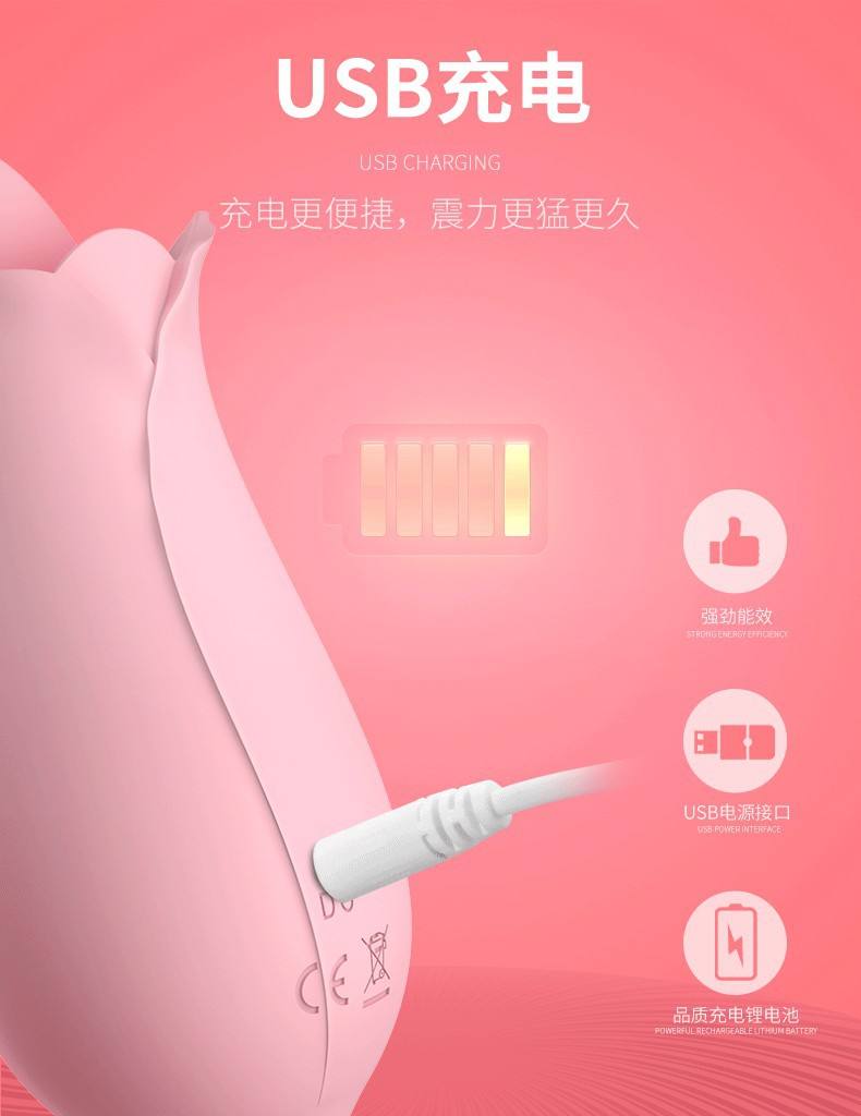 潮趣成人用品,最新热门解析实施_精英版121，127.13