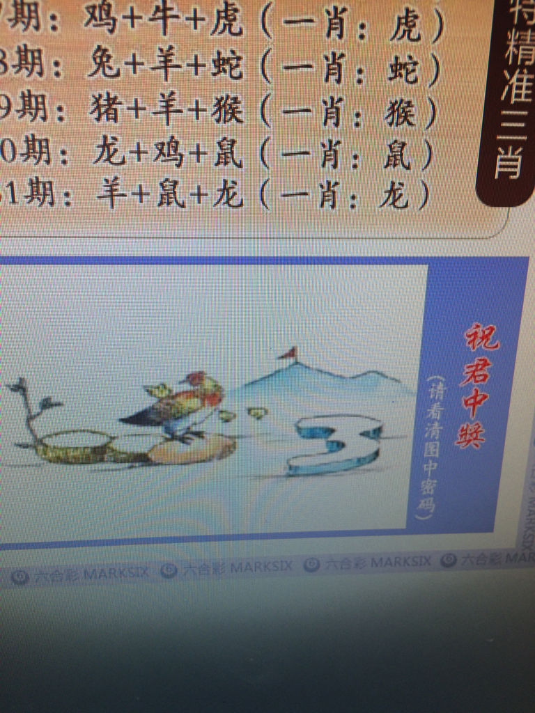 一码一肖期期期中,效能解答解释落实_游戏版121，127.12