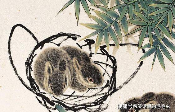 一肖规律,准确答案解释落实_3DM4121，127.13