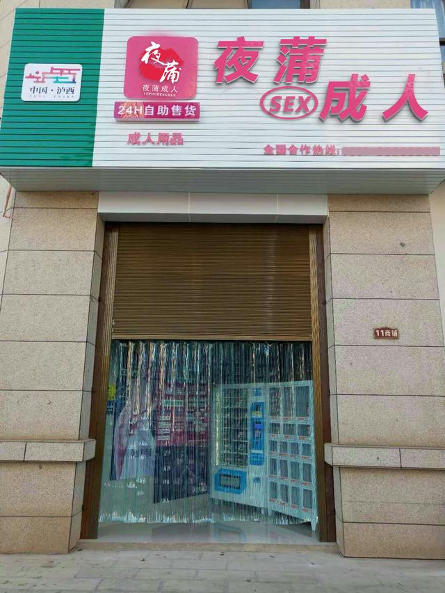 成人情趣用品专营店,数据整合方案实施_投资版121，127.13