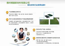 澳门2023精准一肖一码马兰,资深解答解释落实_特别款72.21127.13.