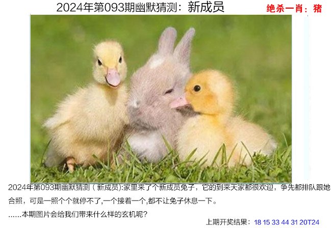 香港一肖一码100%精准一,数据整合方案实施_投资版121，127.13