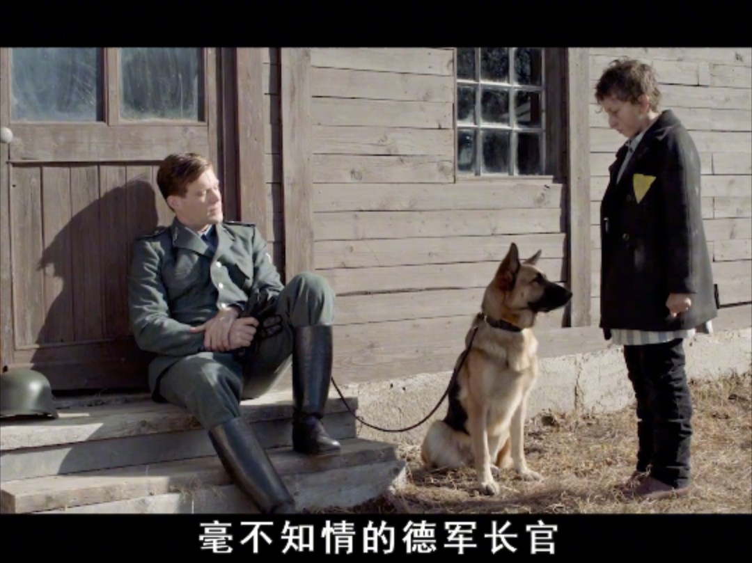 奇奇电影网在线看,最新答案动态解析_vip2121，127.13