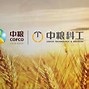 香港三肖三码必中资料,最新热门解析实施_精英版121，127.13