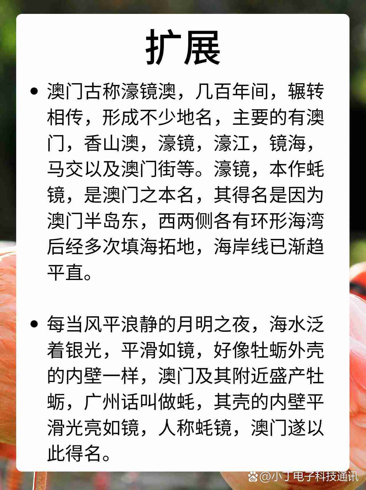 看澳门正版资料大全,效能解答解释落实_游戏版121，127.12