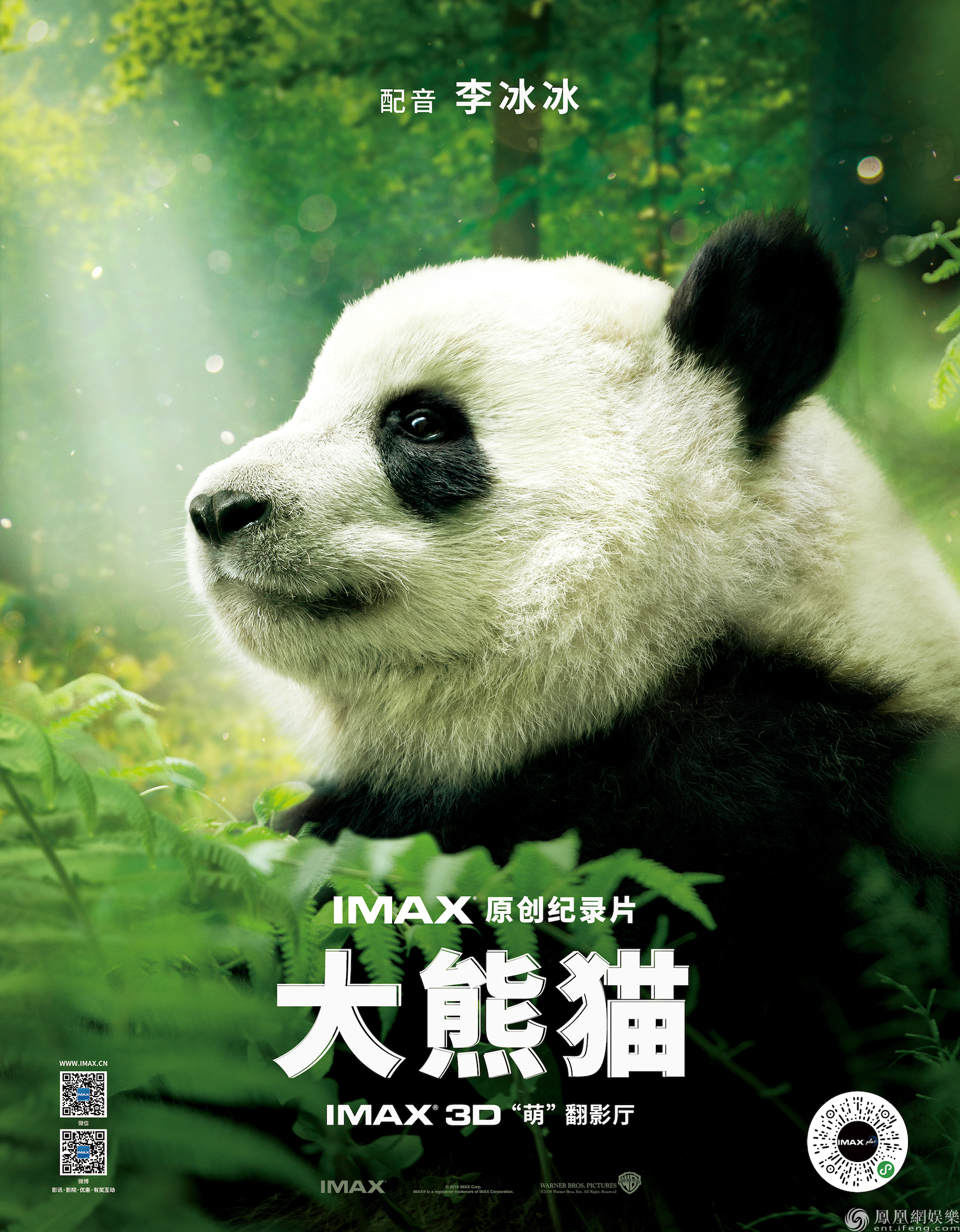 大熊猫电影网,最新答案动态解析_vip2121，127.13