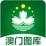 澳门49彩图库2024年,数据解释落实_整合版121，127.13