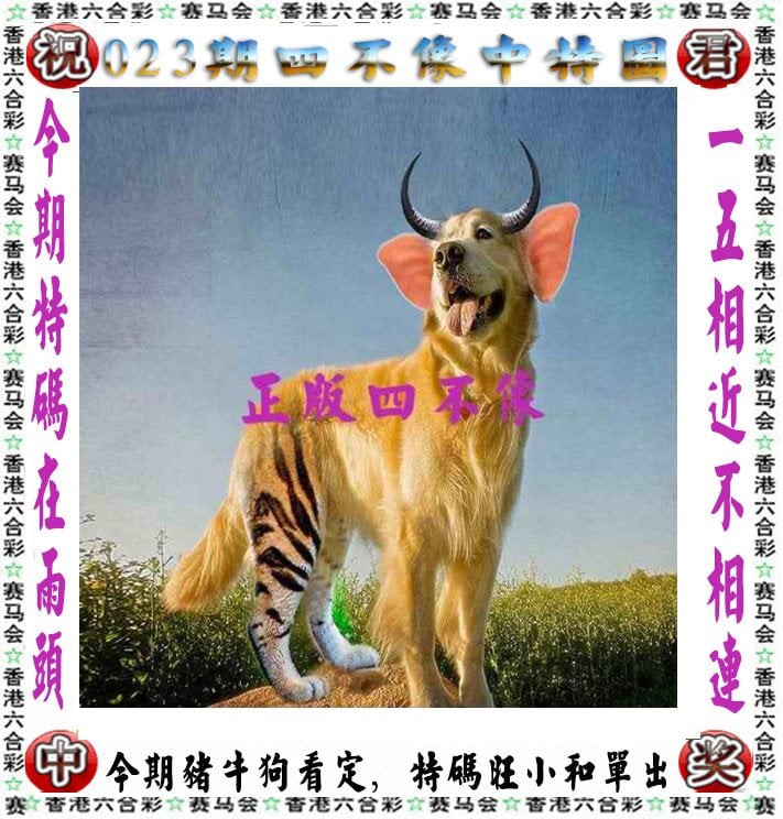 35新澳门码资料2024,资深解答解释落实_特别款72.21127.13.
