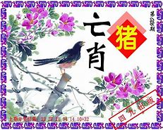 摇钱树四肖八码期期三码必中,豪华精英版79.26.45-江GO121，127.13
