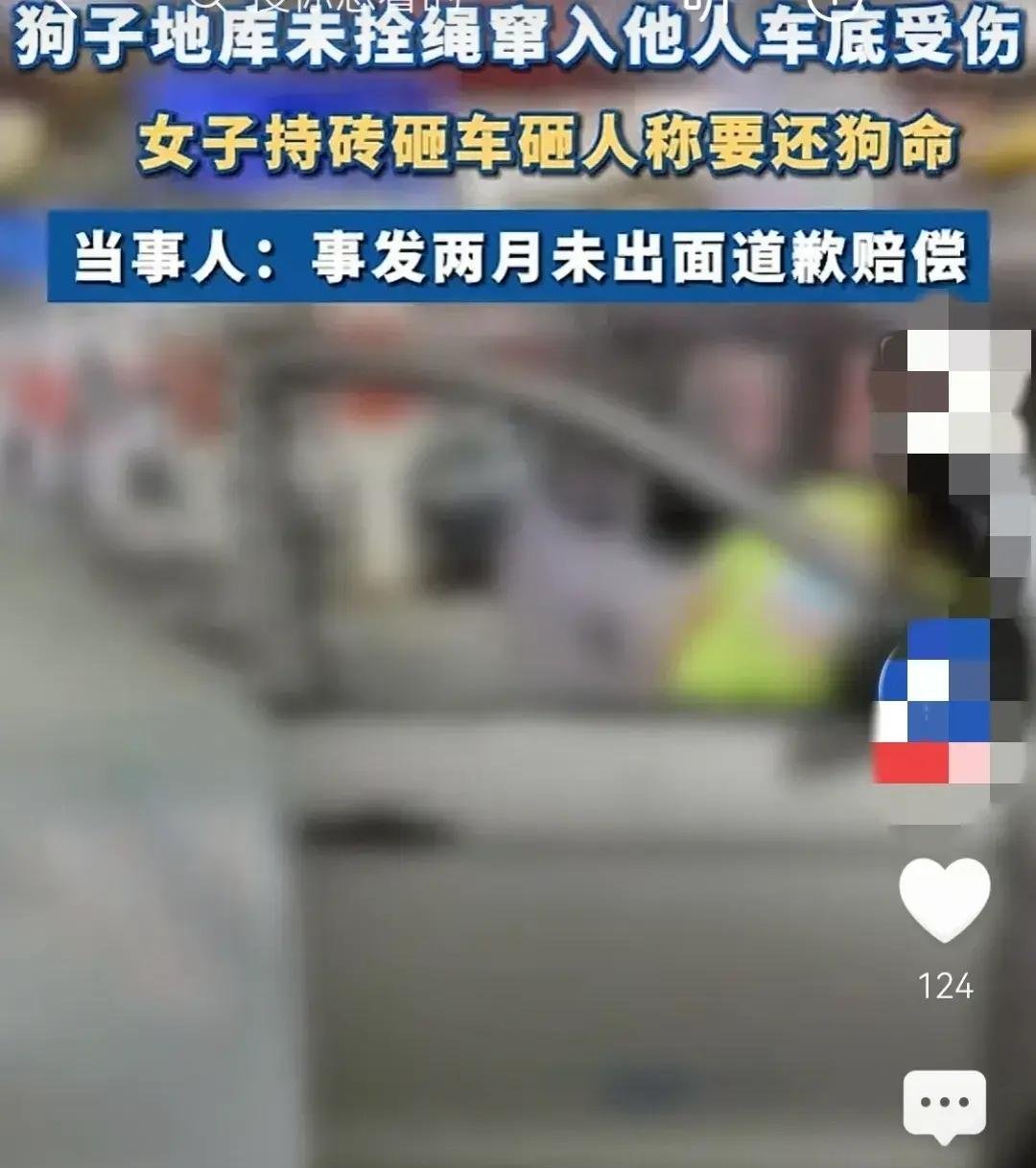 一女子因狗窜入车底受伤砸车,准确答案解释落实_3DM4121，127.13