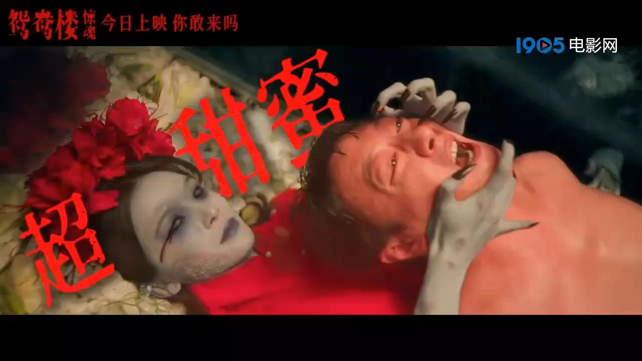 2828影视网线观看,数据解释落实_整合版121，127.13