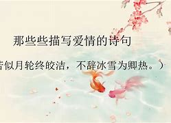新关于爱情的诗句,最新答案动态解析_vip2121，127.13