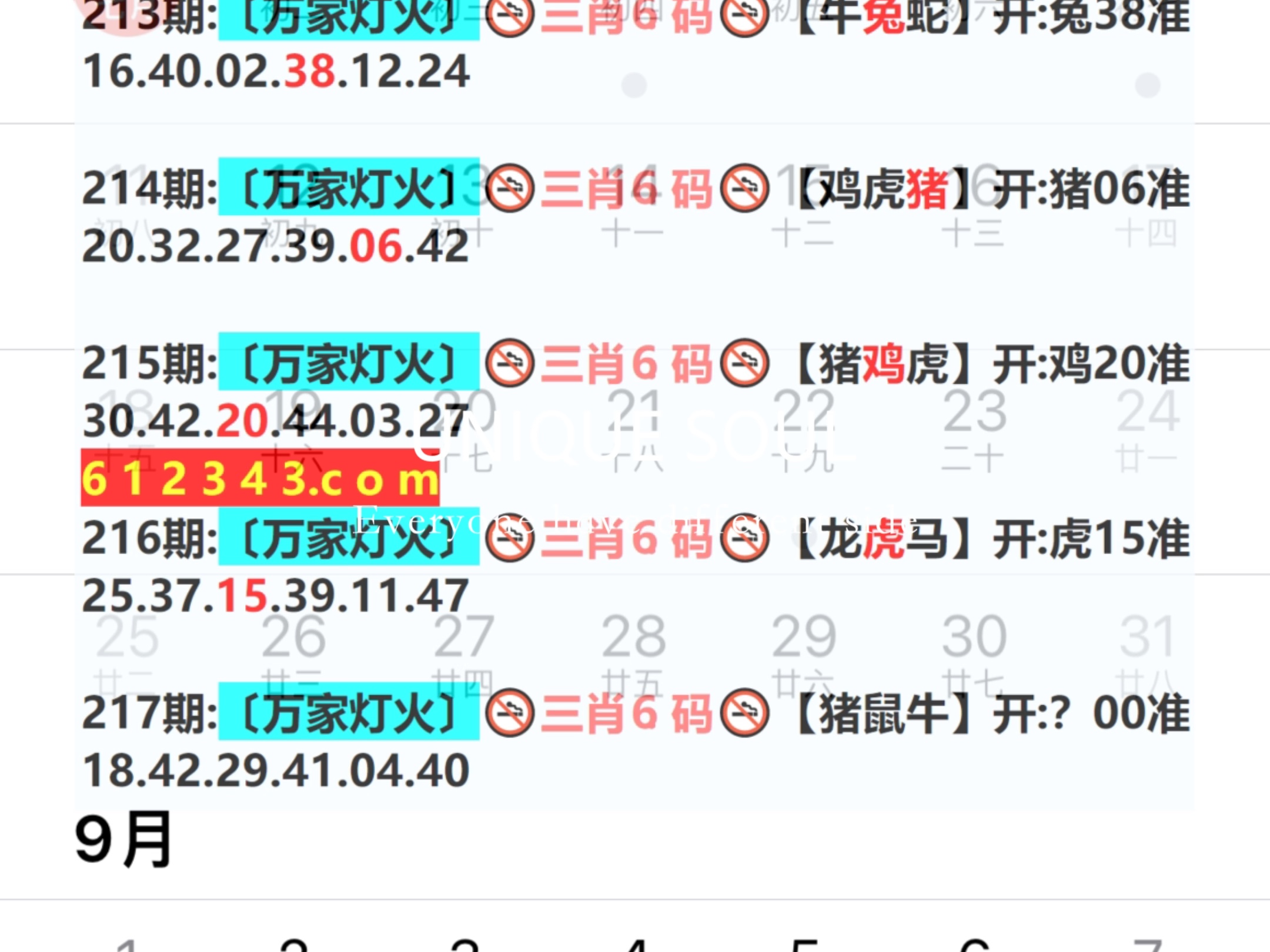 澳门码开奖结果走势图,豪华精英版79.26.45-江GO121，127.13