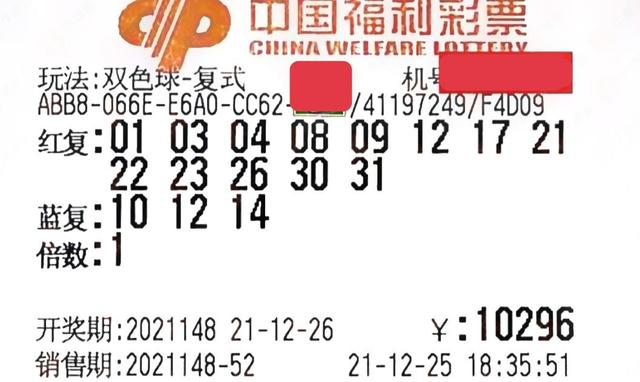 白小姐开奖结果十开奖记录,最新热门解析实施_精英版121，127.13
