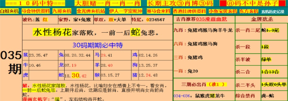 王中王香港资料大全
