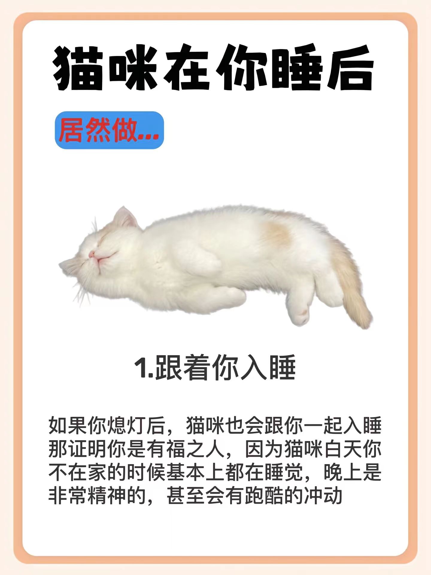 为什么猫都叫不来,资深解答解释落实_特别款72.21127.13.
