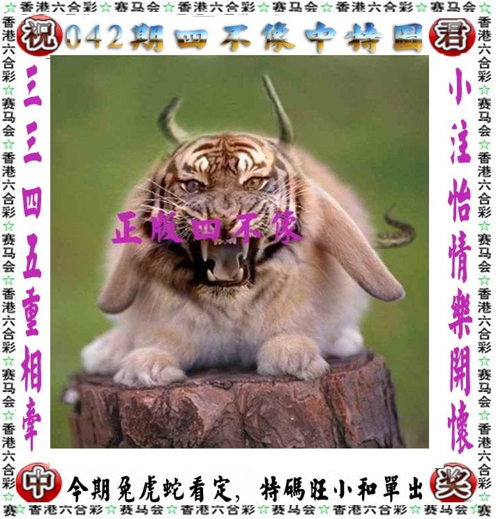 澳门四肖八码期期准精选资料软件,最新热门解析实施_精英版121，127.13