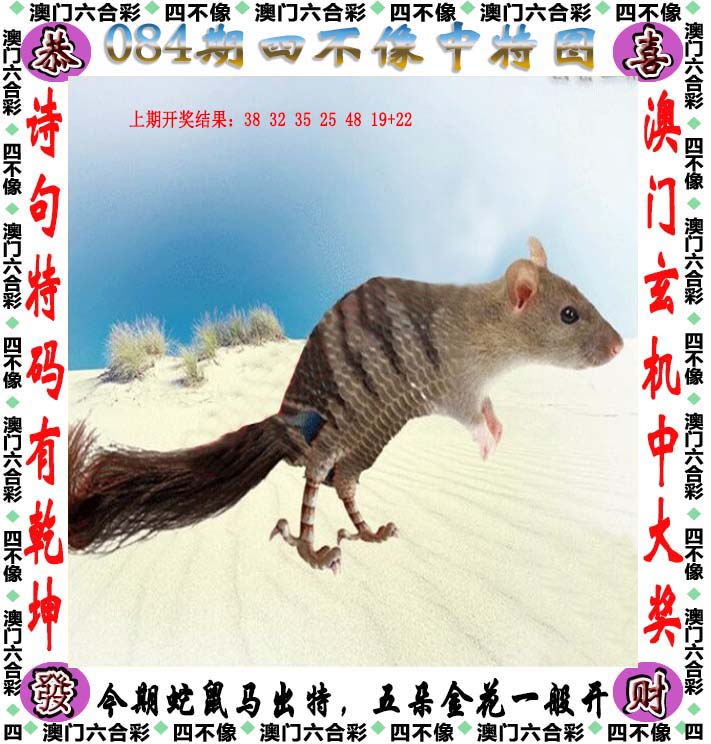 今晚澳门开什么码看一下,效能解答解释落实_游戏版121，127.12