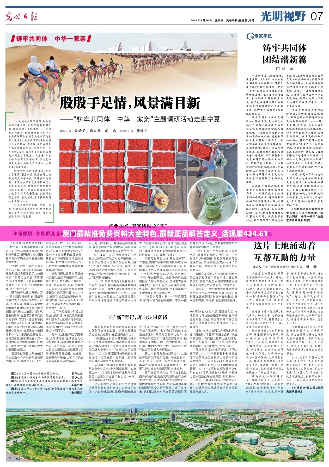 2023溴门免费资料大全,效能解答解释落实_游戏版121，127.12