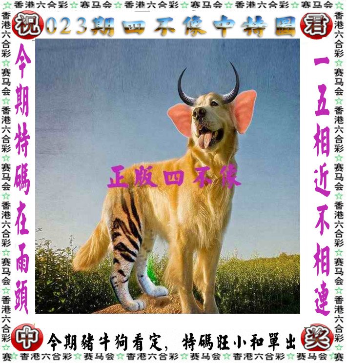 2024年今晚澳门开奖结果是什么
