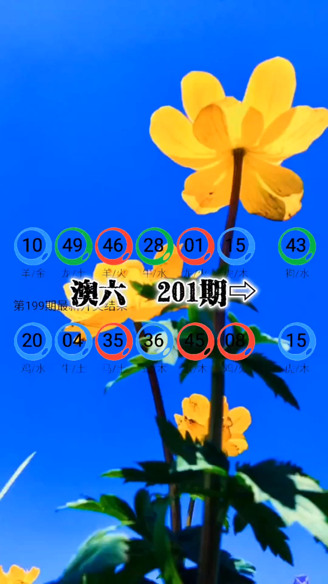 新澳精准资料网址