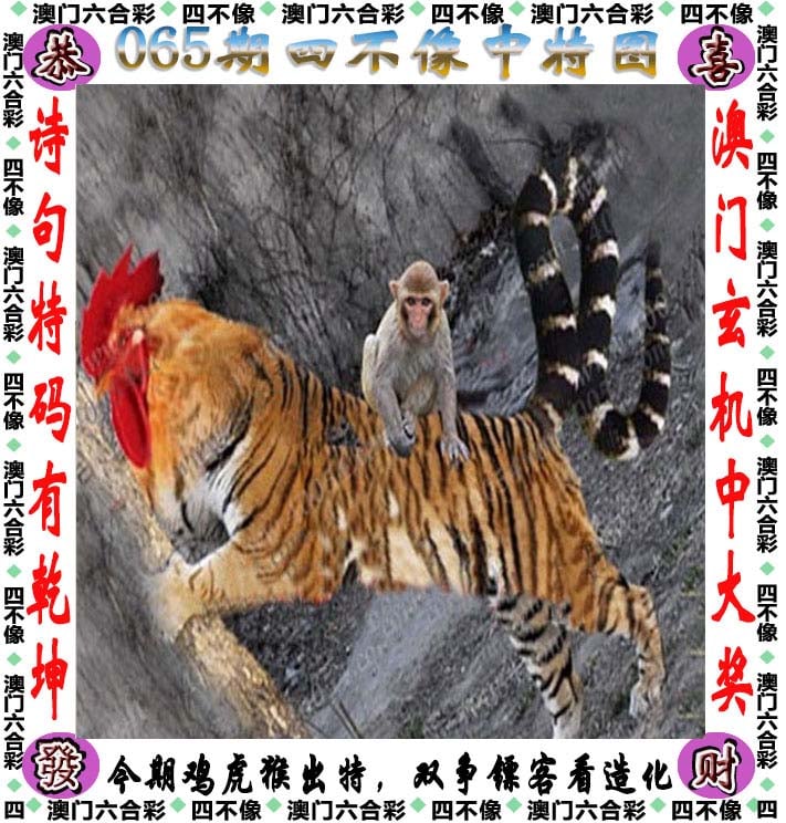 澳门六网站资料查询管家婆,最新答案动态解析_vip2121，127.13