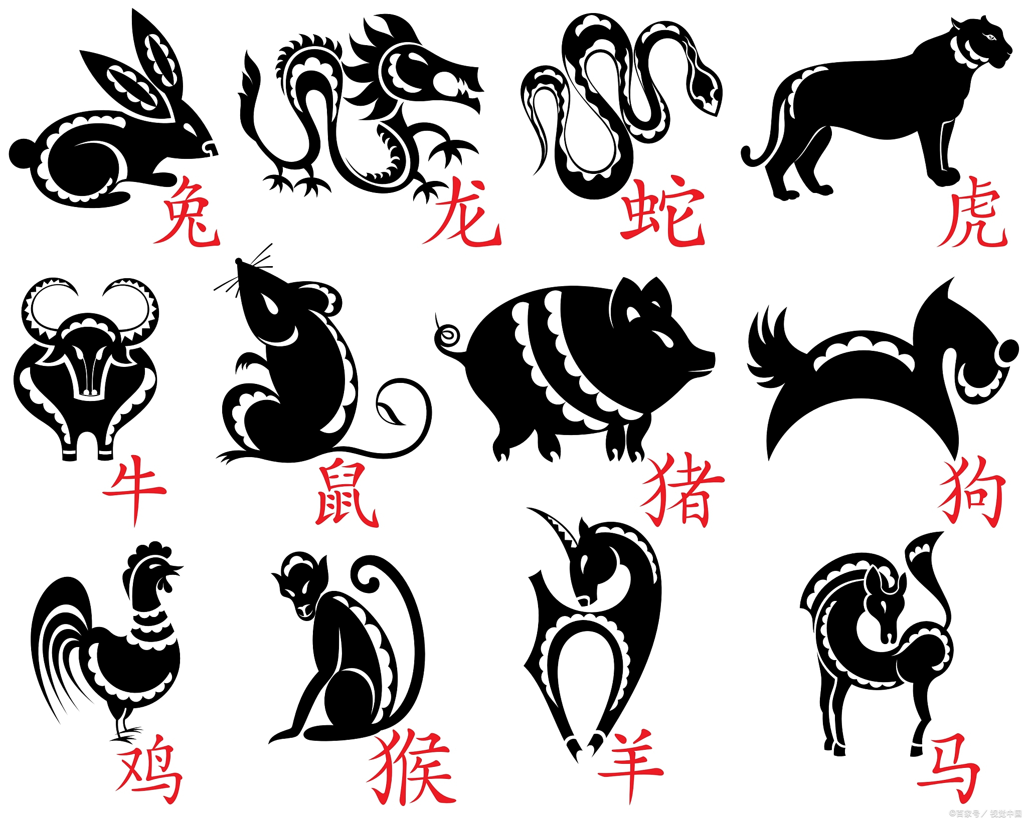 头重脚轻的精准生肖,数据解释落实_整合版121，127.13