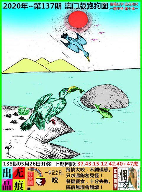 澳门跑狗图2024年图库今天,最新答案动态解析_vip2121，127.13