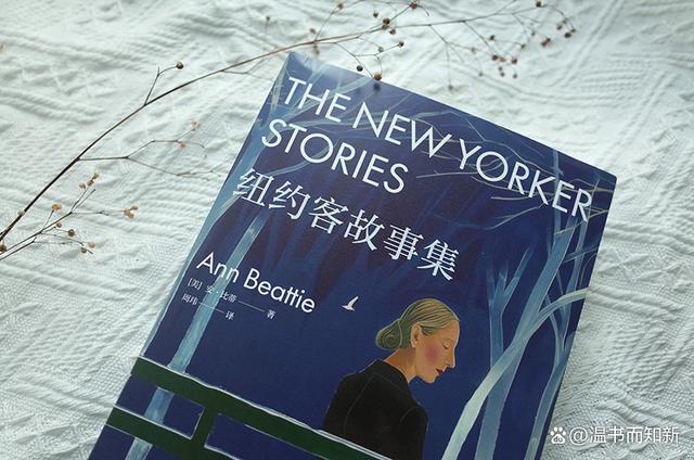 纽约客的故事在线,准确答案解释落实_3DM4121，127.13