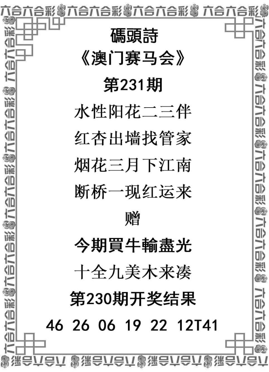 澳门资料大全正版资料查2023,最新热门解析实施_精英版121，127.13