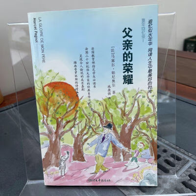 父亲的荣耀高清免费观看,数据解释落实_整合版121，127.13