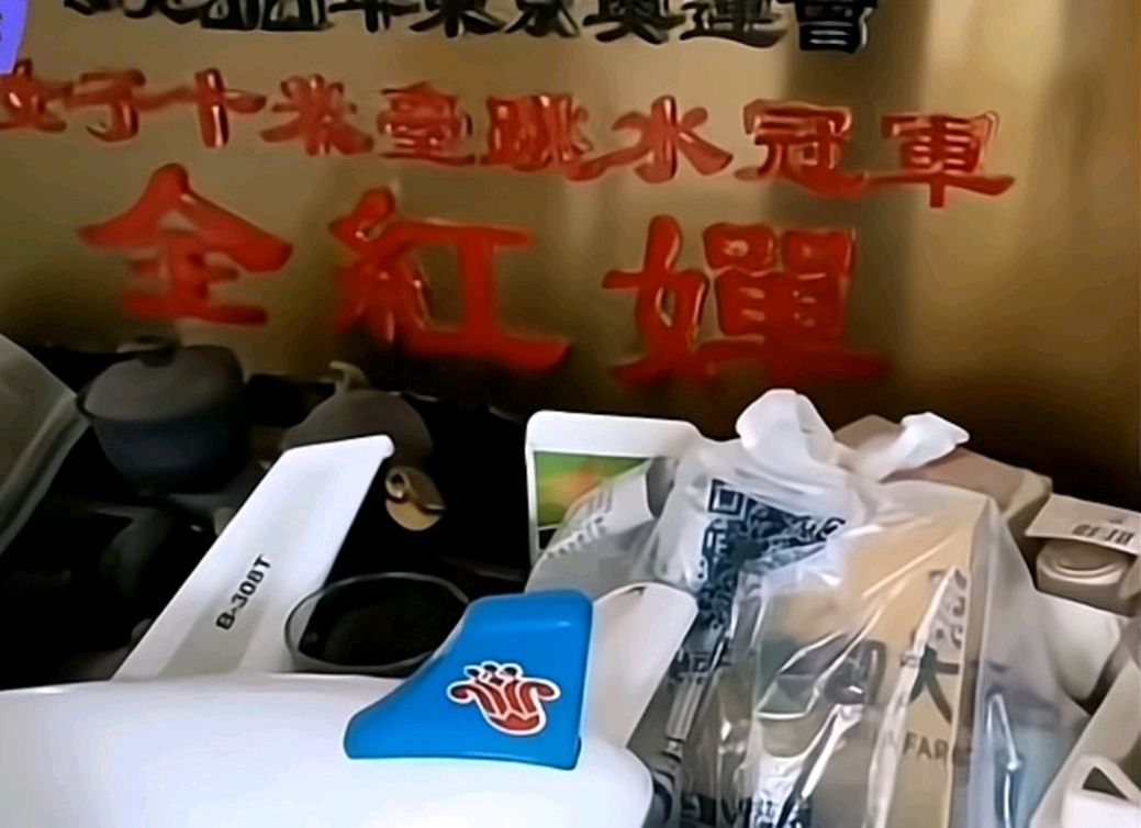 红姐免费资料大全,最新热门解析实施_精英版121，127.13