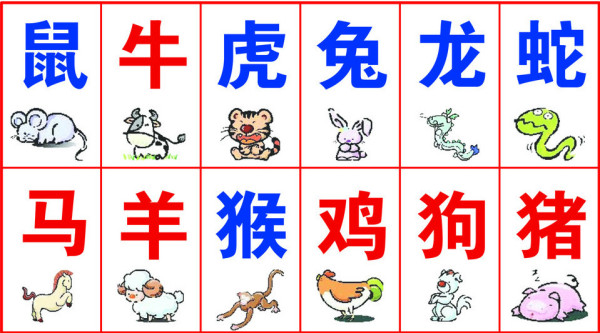 香港十二生肖开奖查询百度,最新热门解析实施_精英版121，127.13